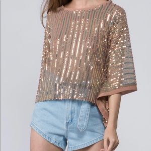 Sequin Strip Mesh Top - Tan Multi